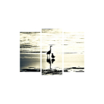 Kolmeosaline reproduktsioon Linnud vees