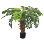 Sago palm, 90 cm