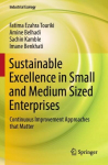 Sustainable Excellence in Small and Medium Sized Enterprises: Continuous Improvement Approaches that Matter 1st ed. 2022