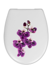 Aeglaselt sulguv WC-poti kaas Cedo Carolina Beach Orchid SC Eco