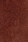 Narma vaip Eden 300x400 cm