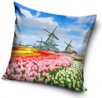 Padjakate Amsterdam, 40x40 cm