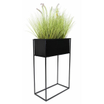 Lillealus, must, 70 cm