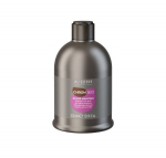 Alterego ChromEgo Silver Maintain Shampoo 300 ml