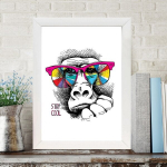 Reproduktsioon Stay Cool