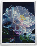 Teemantmosaiik raamiga TM Varvikas - Peony bloom LG335e, 40x50 cm