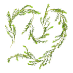 Kunstlike roheliste pungade vanik