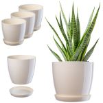 3x lillepott 18cm Katte alusega Kreem