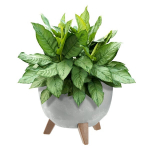 Lillepott Lillepott 29cm kate + jalad korgist lillealus, hall