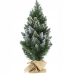 J&otilde;ulupuu Kadax, 0,5 m