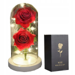 ETERNAL DOUBLE roos klaasist helendav LED kingitus, ETERNAL DOUBLE rose in glass luminous LED GIFT
