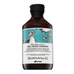 Davines Natural Tech Well-Being Shampoo toitev &scaron;ampoon pehmete ja l&auml;ikivate juuste jaoks 250 ml