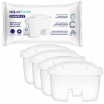 AquaFloow FlowFlux filter Brita Dafi kannu vanematele mudelitele, 4tk