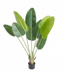 ARTIFICIAL PLANT PALMA Eksootiline banaanitaim realistlikus potis 150cm