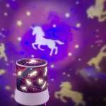 &Uuml;kssarviku projektor / &ouml;&ouml;lamp