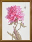 Ristpistekomplekt "Pojengid. Graatsia" 21x30 cm