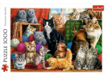 Pusle Trefl Cats Meeting 1000 tk.