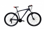 Maastikuratas MTB Capriolo LC 9.1, 29", hall/punane, Raam 21"