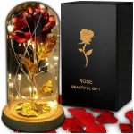 Igavene roos klaasis Led valgusega &ndash; ilus kingitus talle emadep&auml;evaks