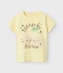 Name IT t&uuml;drukute T-s&auml;rk 13237842*02, kollane