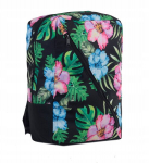 Convey kott Ryanair 40x20x25 k&auml;sipagas