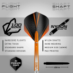 Red Dragon Amberjack seeria pehmete otstega professionaalsed nooled 18 g noolem&auml;ngu komplekt koos sulgede ja vartega