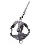 Kassi Rakmete Komplekt , Hall