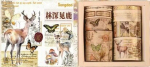Washi teip 8 tk komplekt Retro lisatarvikud Journaling Scrapbooking