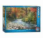 Pusle Eurographics, 6000-2132, Forest Stream, 1000 tk