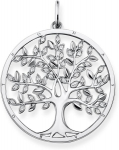 Thomas Sabo naiste h&otilde;bedast (925) ripats "tree of Love" Glam & Soul Pe759-051-14