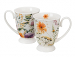 Kruuside komplekt PANSY, 2 tk. 340 ml