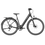 Elektrijalgratas TENWAYS CGO800 Plus (2025) Midnight Black