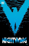 Nightwing Vol. 6: Standing at the Edge, Nightwing Vol. 6: Standing at the Edge