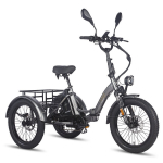 Elektriline kaubikkolmeratas Fafrees F20 Mate 20", hall
