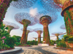 1500 Piece Puzzle Garden by the Bay Singapore, Ages 14+, Premium Puzzle, Singapore, 12001396, Ravensburger