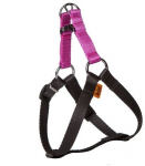 Dingo Energy Silver koerarakmed, roosad, 40cm