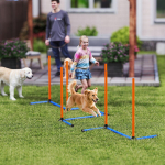 Koerte agility komplekt, 3-osaline treeningvarustus, 65x64x69 cm, oranž, treening