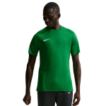 Nike Dri-Fit Park VIII meeste s&auml;rk, roheline HV8173 302, L
