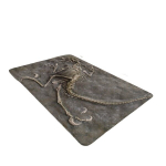 Dinosauruse Fossiil 8mm Pehme Paks Vaip Masinpestav Siseukses Matt., 31,49 * 47,24 colio 80 * 120 cm