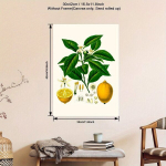 L&otilde;uendplakat, 29,97*41,91cm be rėmelių