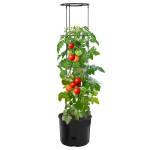 vidaXL tomatitaime kasvupott, antratsiithall, &Oslash;39 x 150 cm, PP