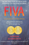 Fiva: An Adventure That Went Wrong
