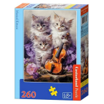 Pusle 260 t&uuml;kki: Muusikalised kassipojad