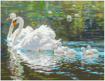 Maalimiskomplekt numbrite j&auml;rgi Luikede j&auml;rv 40x50