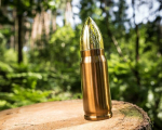 Bullet termos