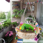 Kalendrid, m&auml;rkmikud, papagoilindude m&auml;nguasi, k&auml;sitsi kootud &otilde;lgedest pesa metallkellade kiigega lindudele