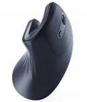 GEMBIRD Ergonomic wireless mouse