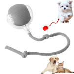 Interaktiivne nutikas kassim&auml;nguasi Cat Ball, hall (ilma helideta)