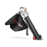 Juhtmeta lehepuhur 40V X-Performer, XPASBT40LI-2B