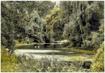 Maalimiskomplekt numbrite j&auml;rgi Roheline salu 40x50